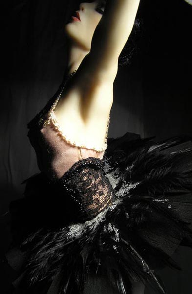 Черный лебедь / The black swan, fot. popovy-dolls.com